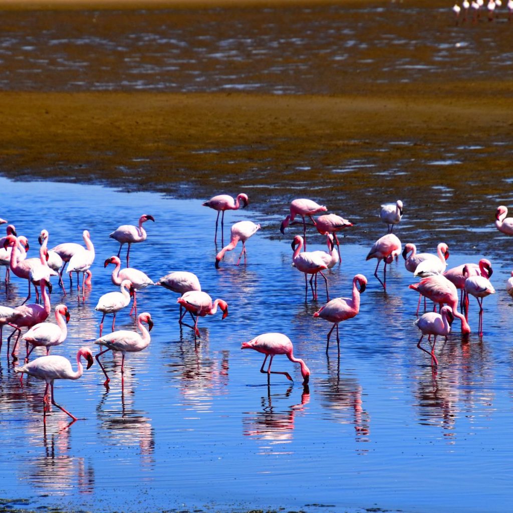 Walvis Bay