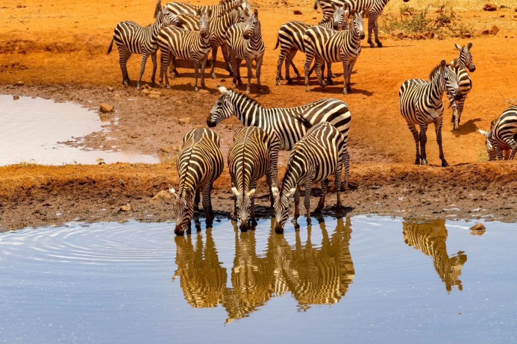 viajes a medida Kenia