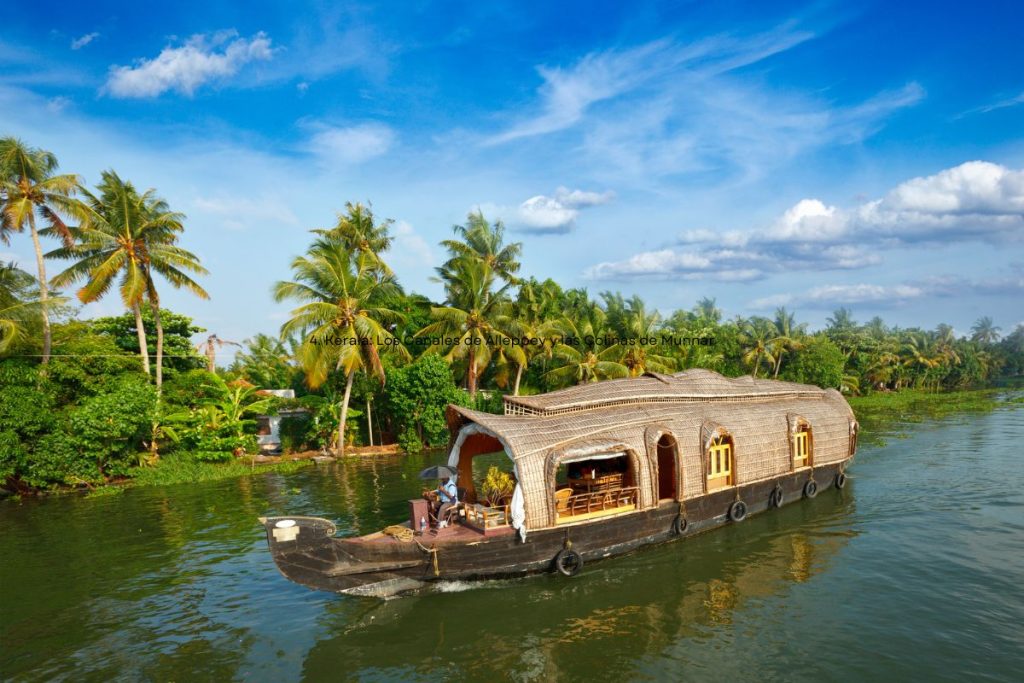 4 Kerala Los Canales de Alleppey y las Colinas de Munnar