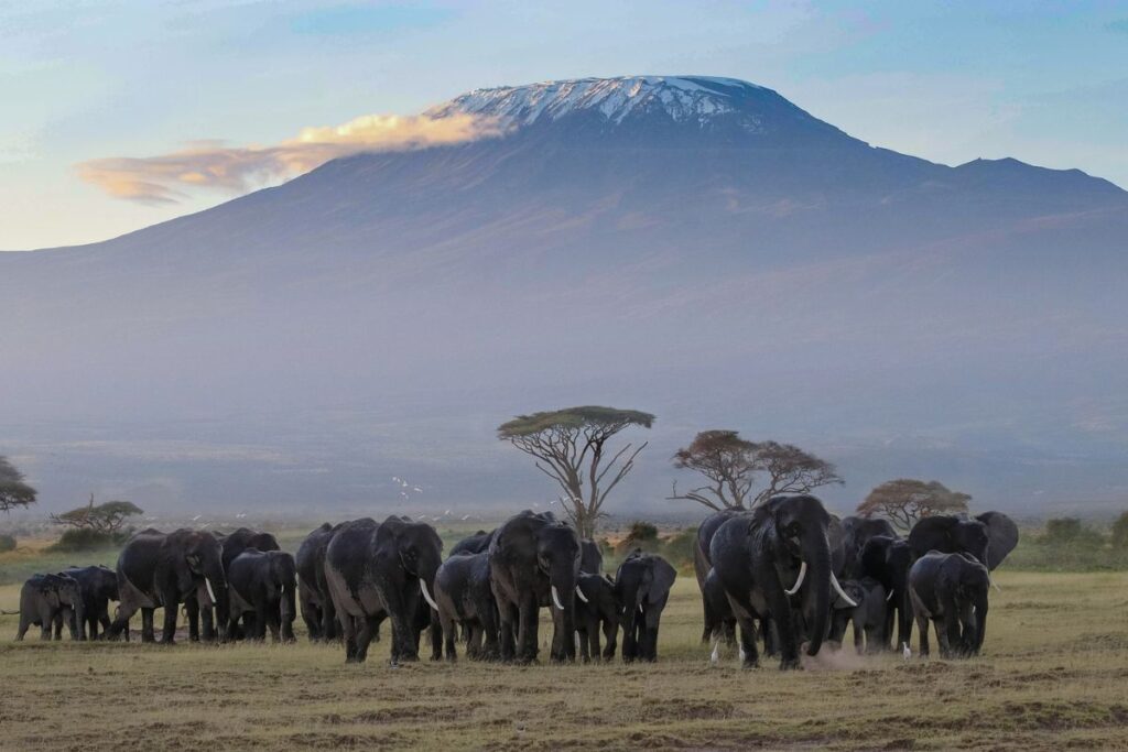 Safari Riziki en Kenia