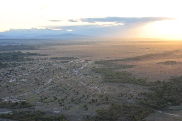 Masai Mara en globo