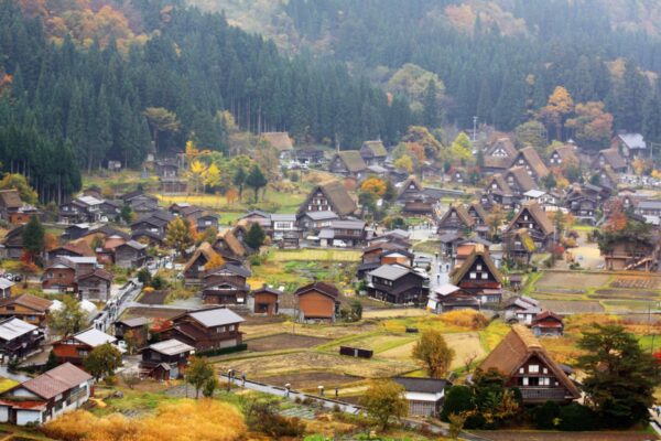 SHIRAKAWAGO 