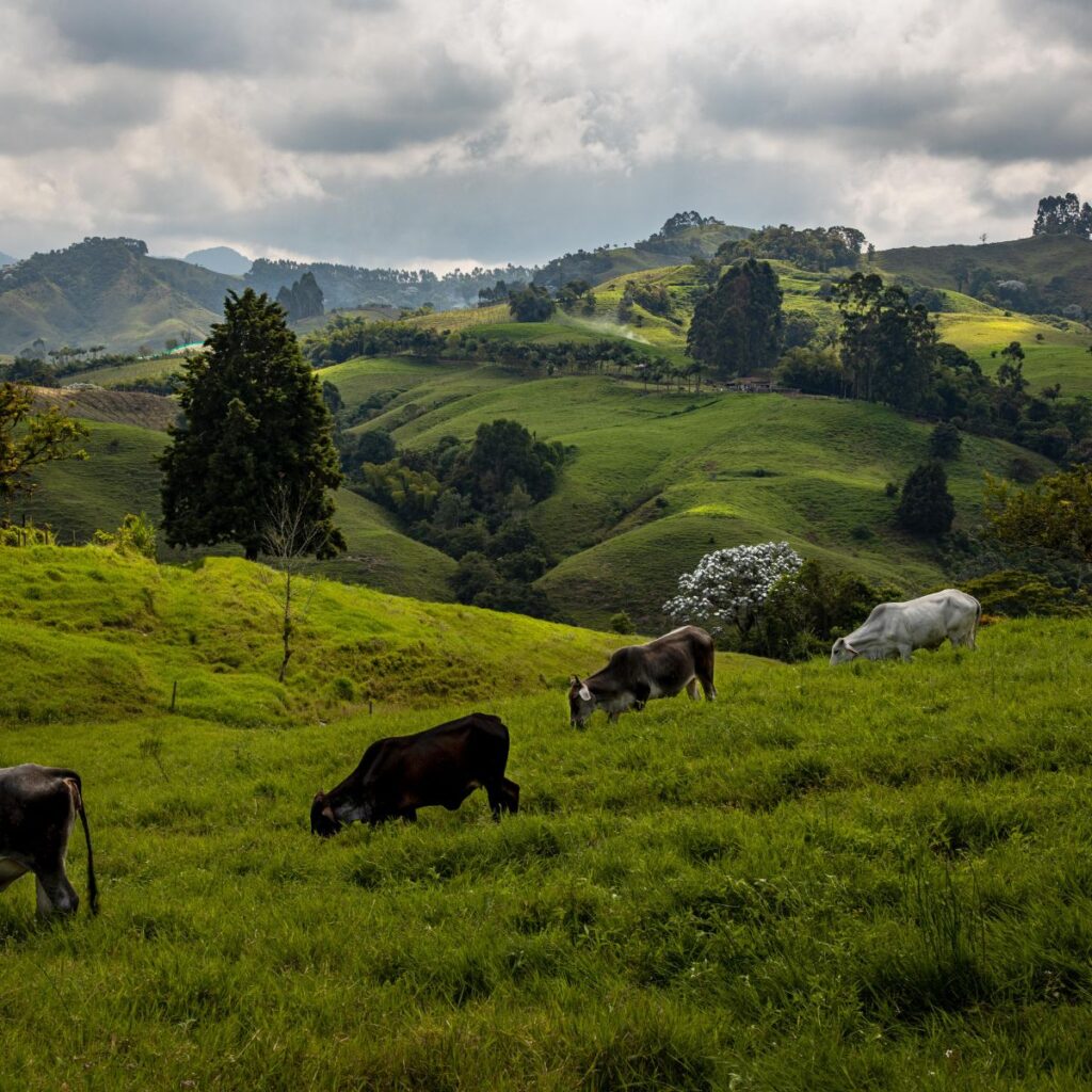 viajes a colombia