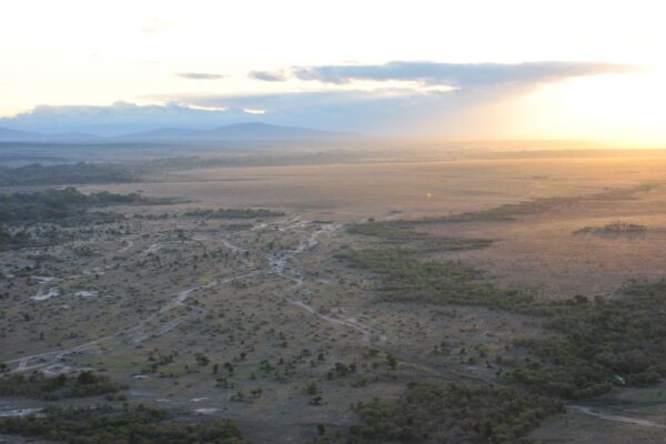 Safari Nyumbu en Kenia