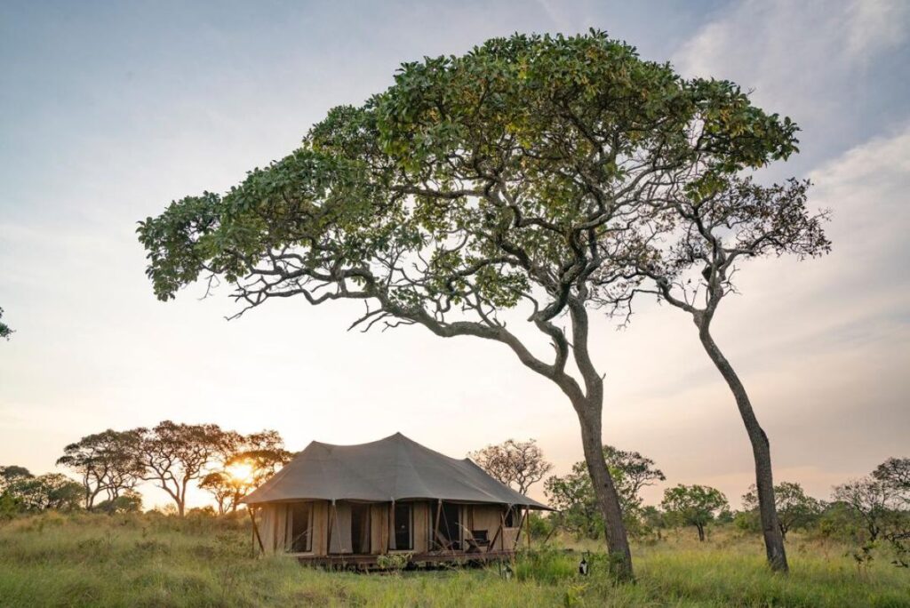 Tanzania safari de lujo