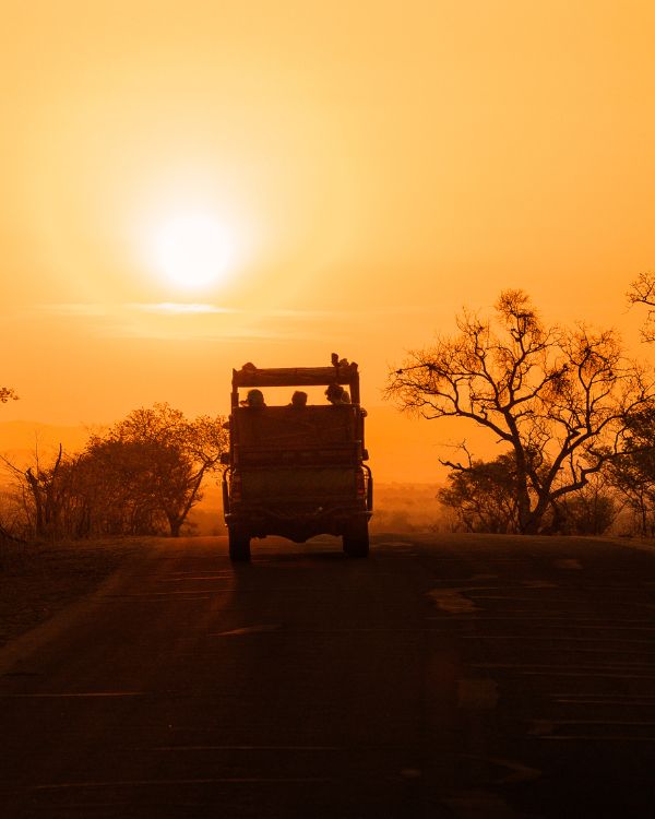 safaris en africa