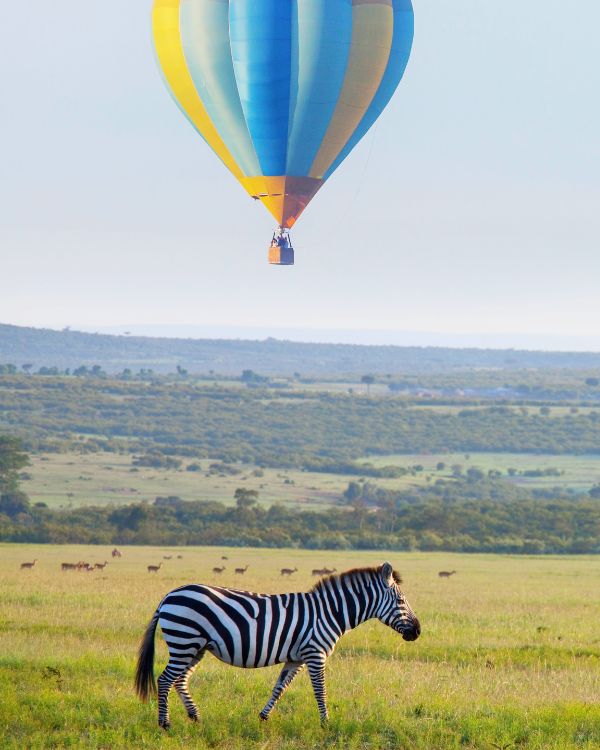 safaris en africa (3)