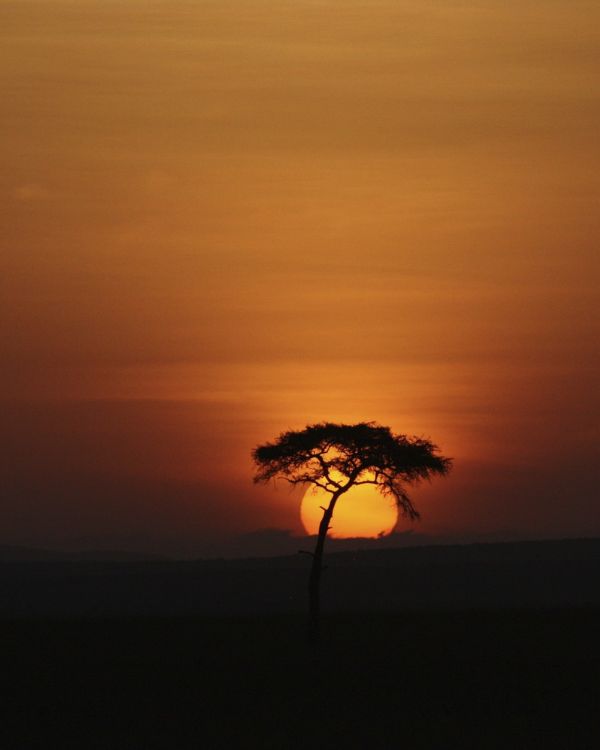 viajes safaris (2)