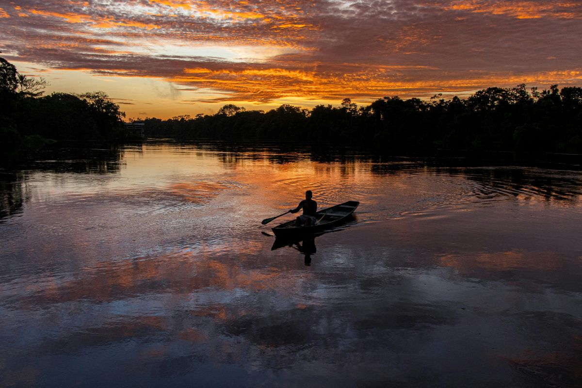 Amazonas Colombiano 2