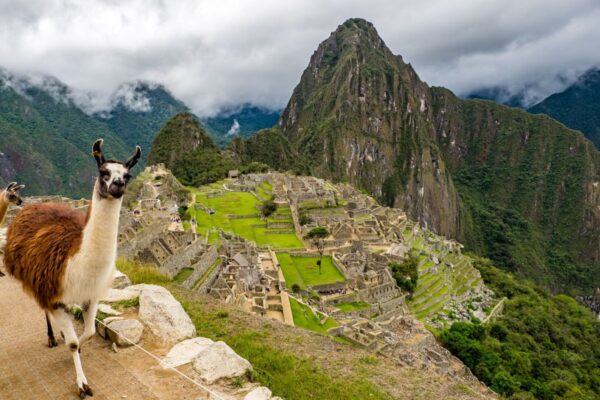 Llama Machu Pichu