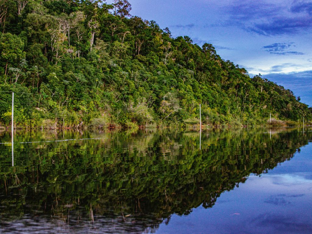 Amazonas 1
