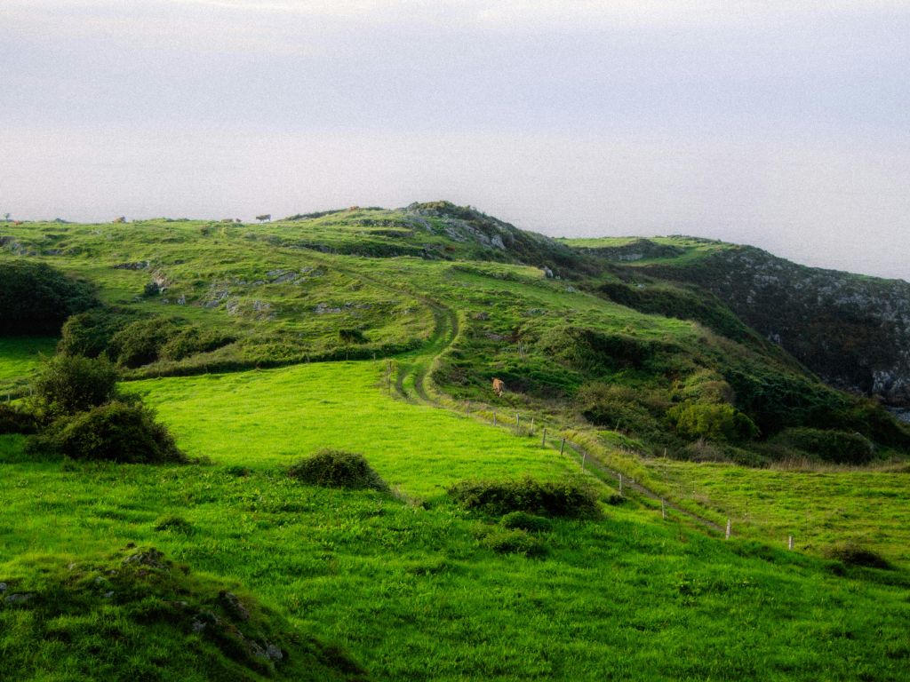 Asturias 1