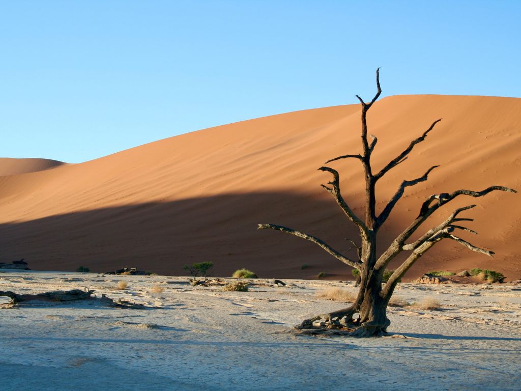 Desierto De Namib