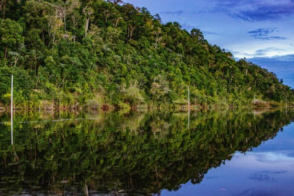 Amazonas 1