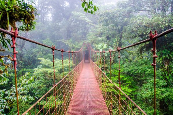 Costa Rica Clásica Con Manuel Antonio