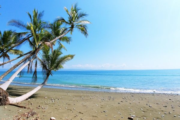 Costa Rica Clásica Con Manuel Antonio