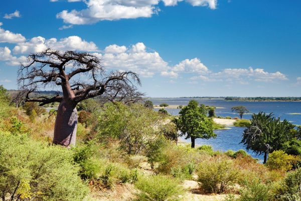 Esencias de Namibia con Cataratas Victoria y Chobe 2