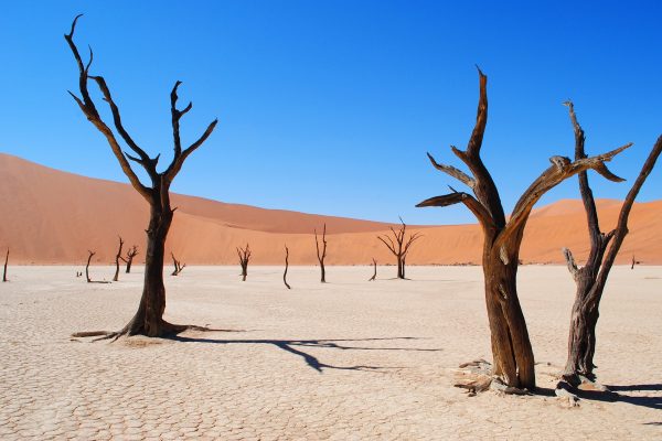 Esencias de Namibia con Cataratas Victoria y Chobe