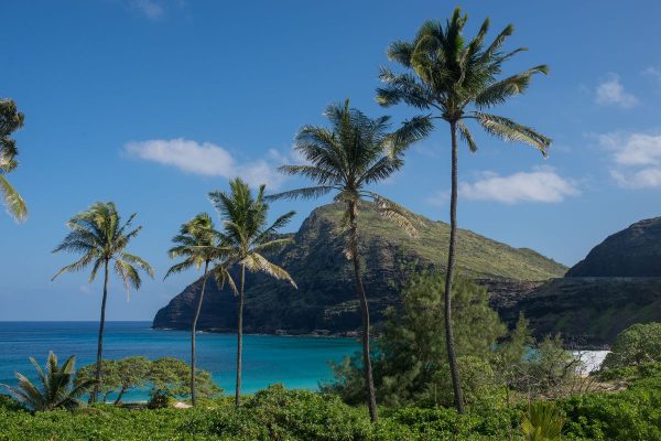 Exuberantes islas Hawái