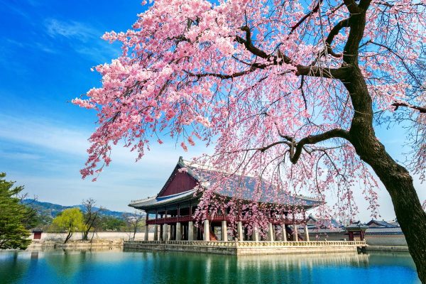 Gyeongbokgung Palace Seul