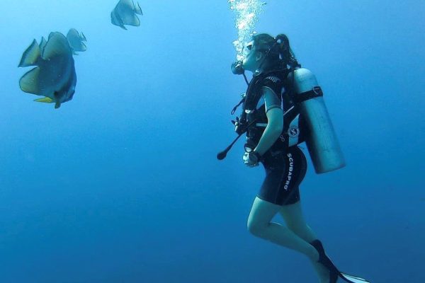 Maldivas submarinismo