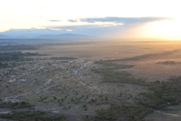 Safari Nyumbu en Kenia