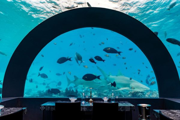 Restaurante bajo el agua