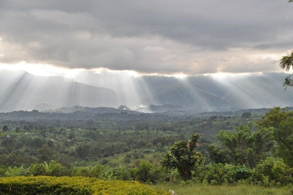 Rwenzori