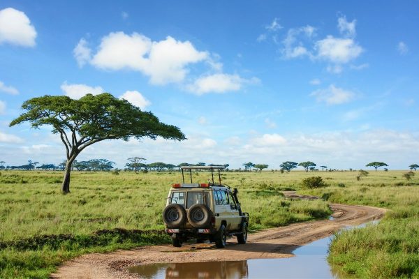 safari Tanzania