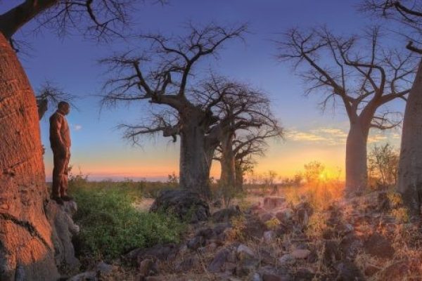 Safari por Botswana 7