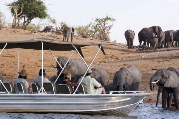 Safari por Botswana 9