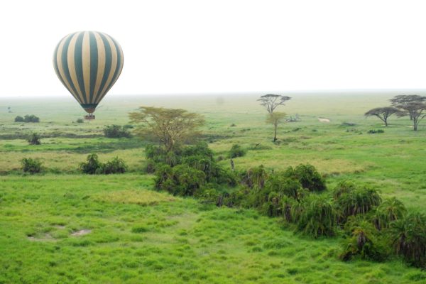 Safari privado Olduvai en Tanzania 11