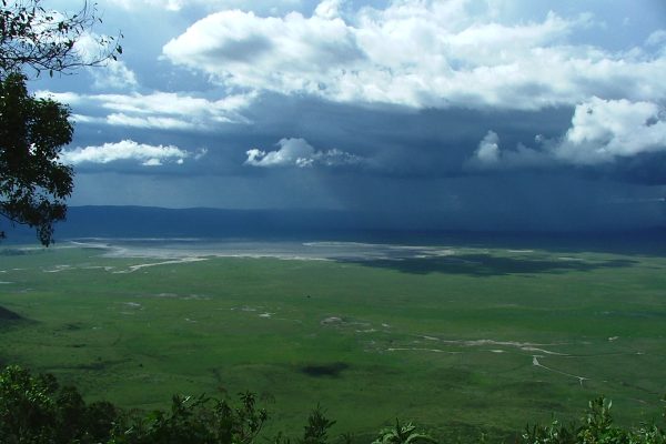 Safari privado Olduvai en Tanzania 12