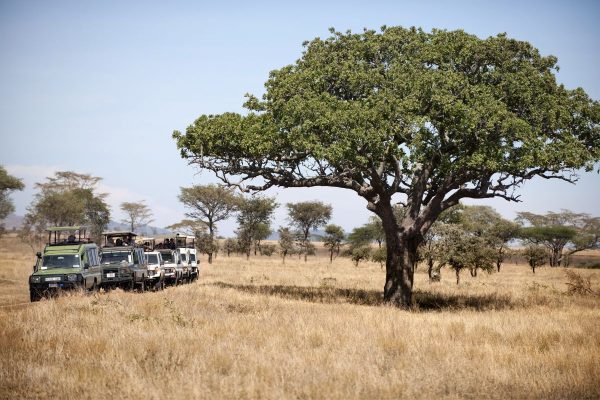 Safari privado Olduvai en Tanzania 3