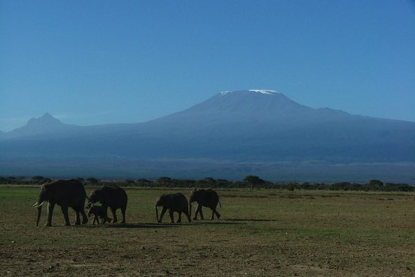 amboseli kili