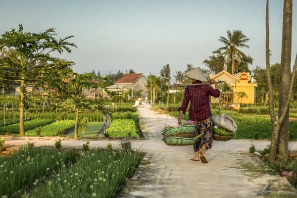 hoi an 3 (1)