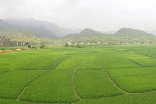 mai chau