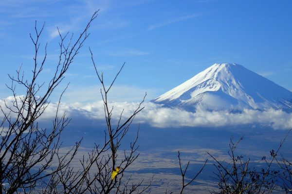 mount fuji hakone japon